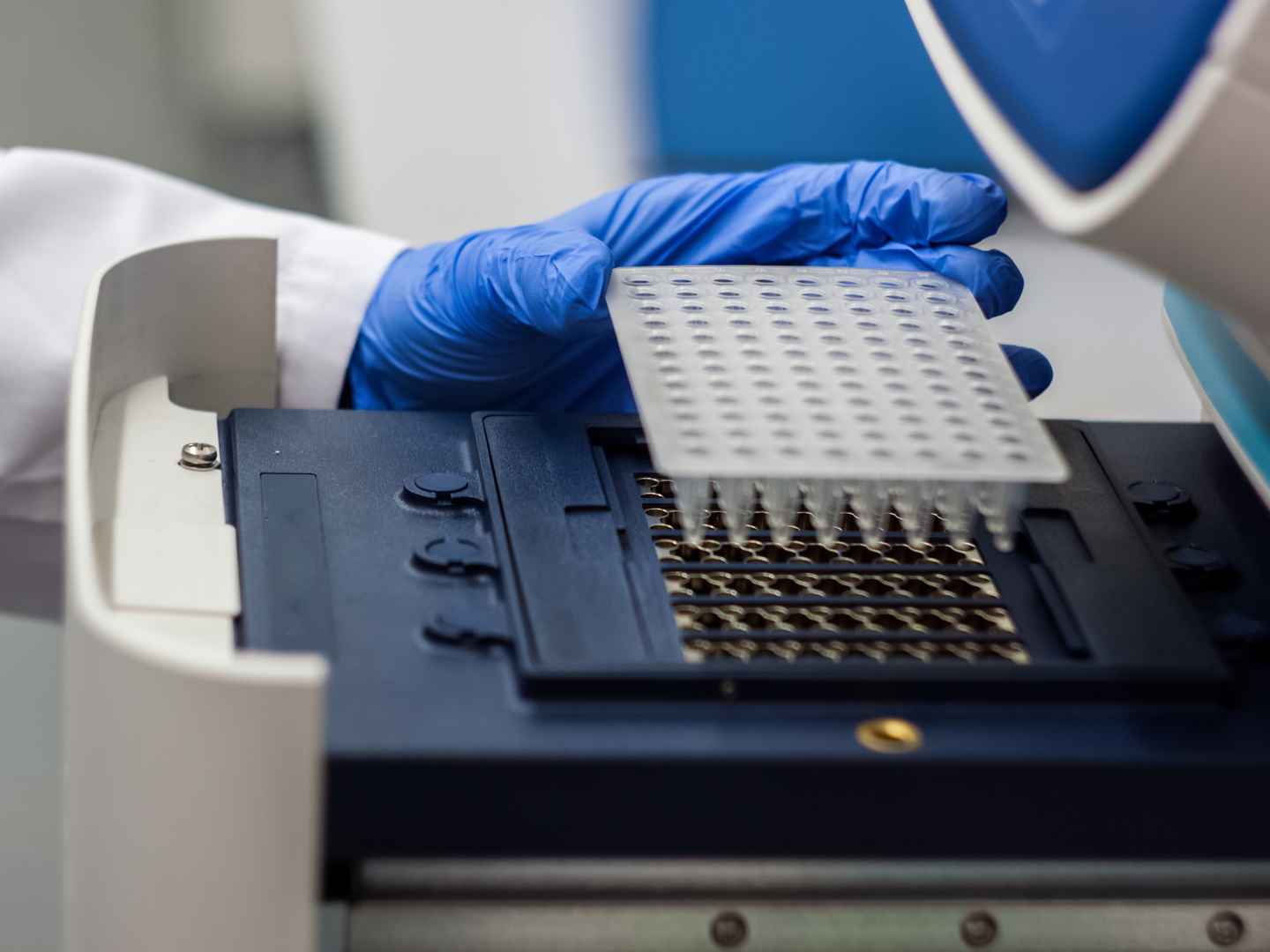 Molecular infectious disease testing workflow