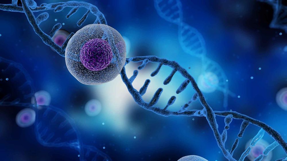Oncology and genetic testing enzymes
