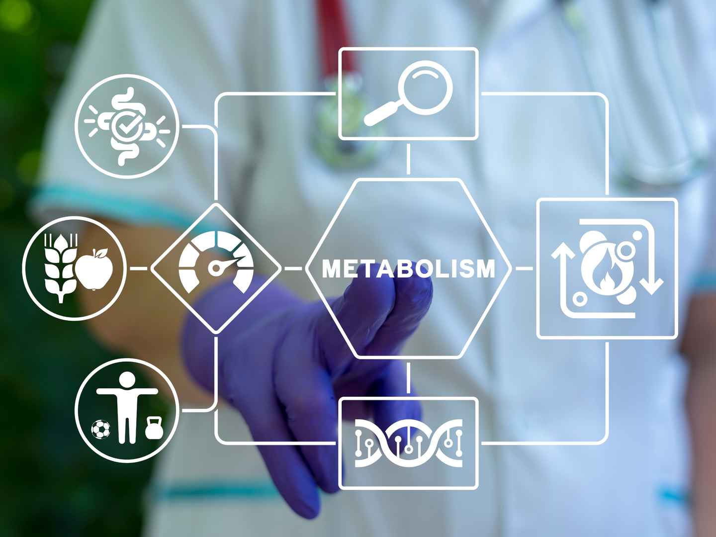 Enzyme activity and metabolic pathway assays