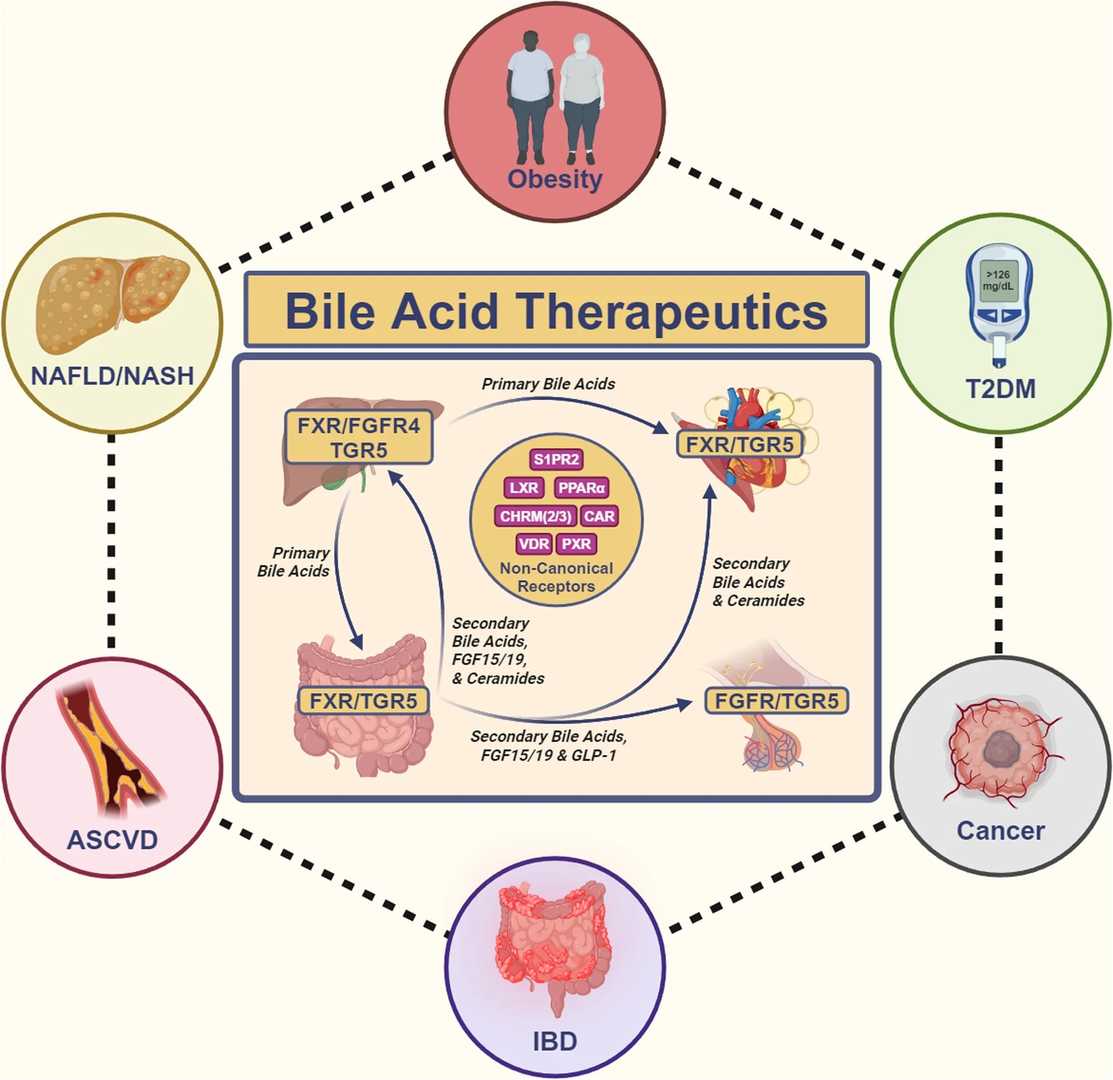 Total bile acid assay using 3-alpha-hydroxysteroid dehydrogenase and cofactor cycling