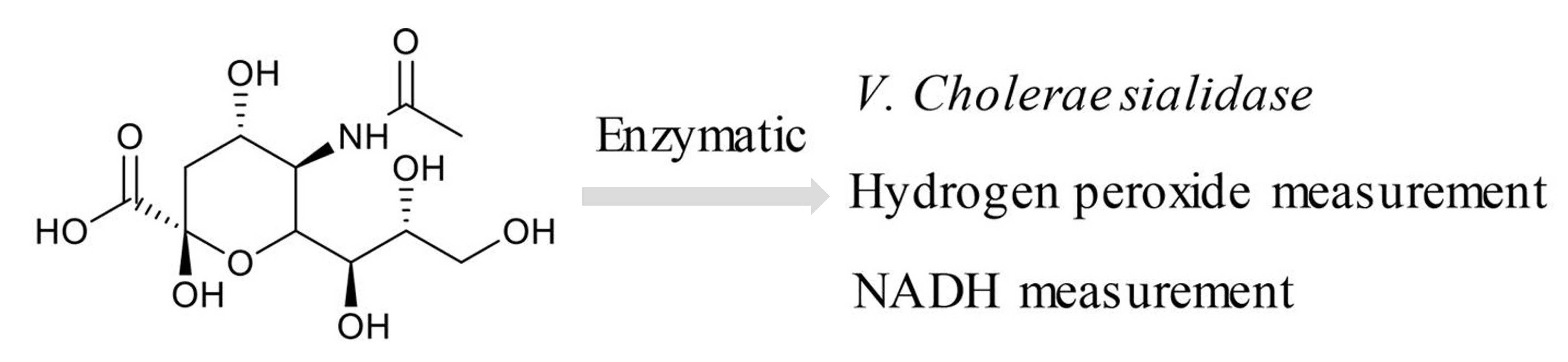 Assays for the identification and quantification of sialic acids