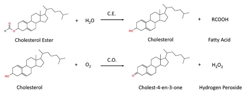 CE-CHOD-POD reaction