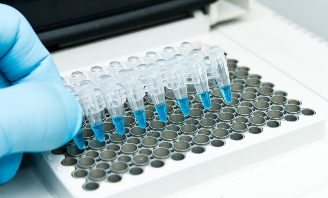 PCR/qPCR Enzymes and Master Mixes