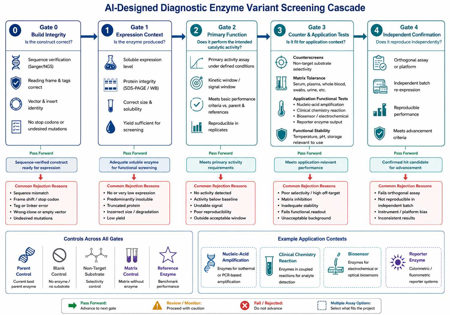 Application-relevant screening cascade for AI-designed diagnostic enzyme variants