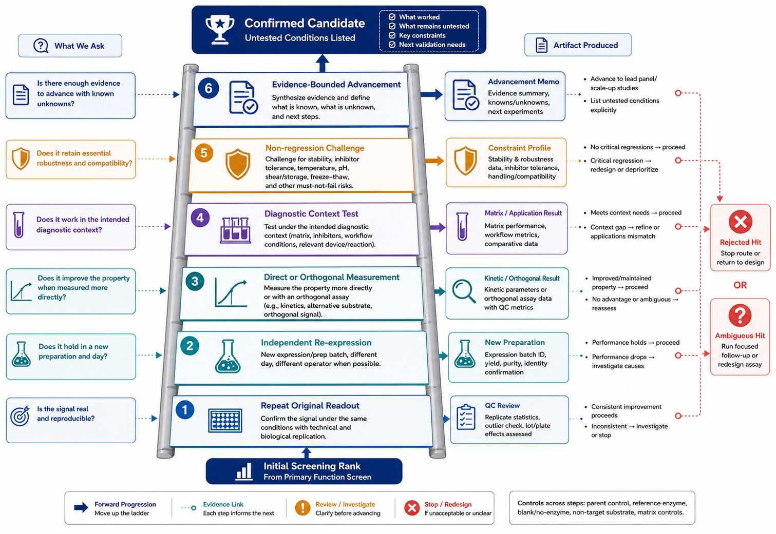 Hit confirmation ladder for AI-guided diagnostic enzyme variant screening