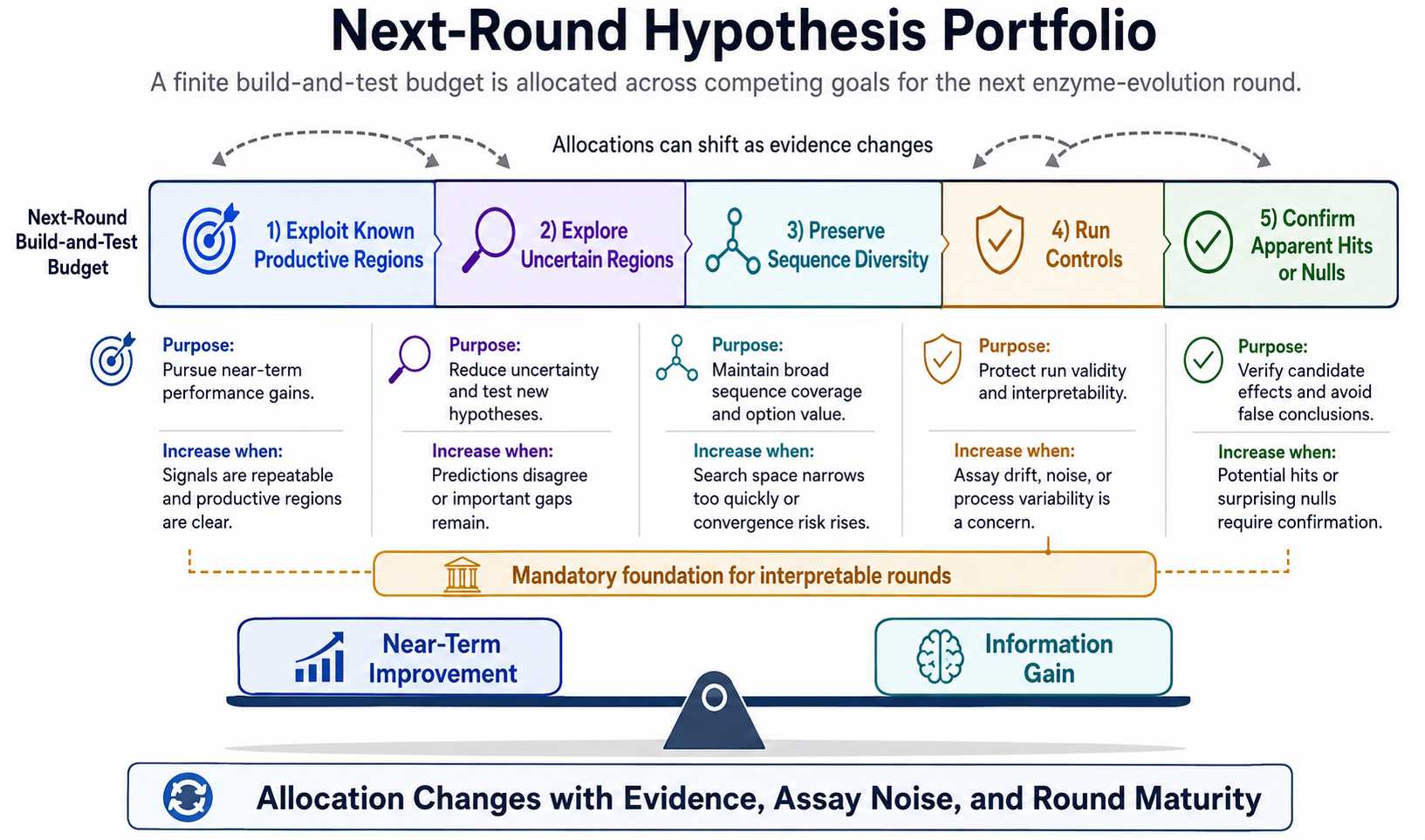 Next-round enzyme evolution hypothesis portfolio balancing exploitation exploration diversity controls and confirmation