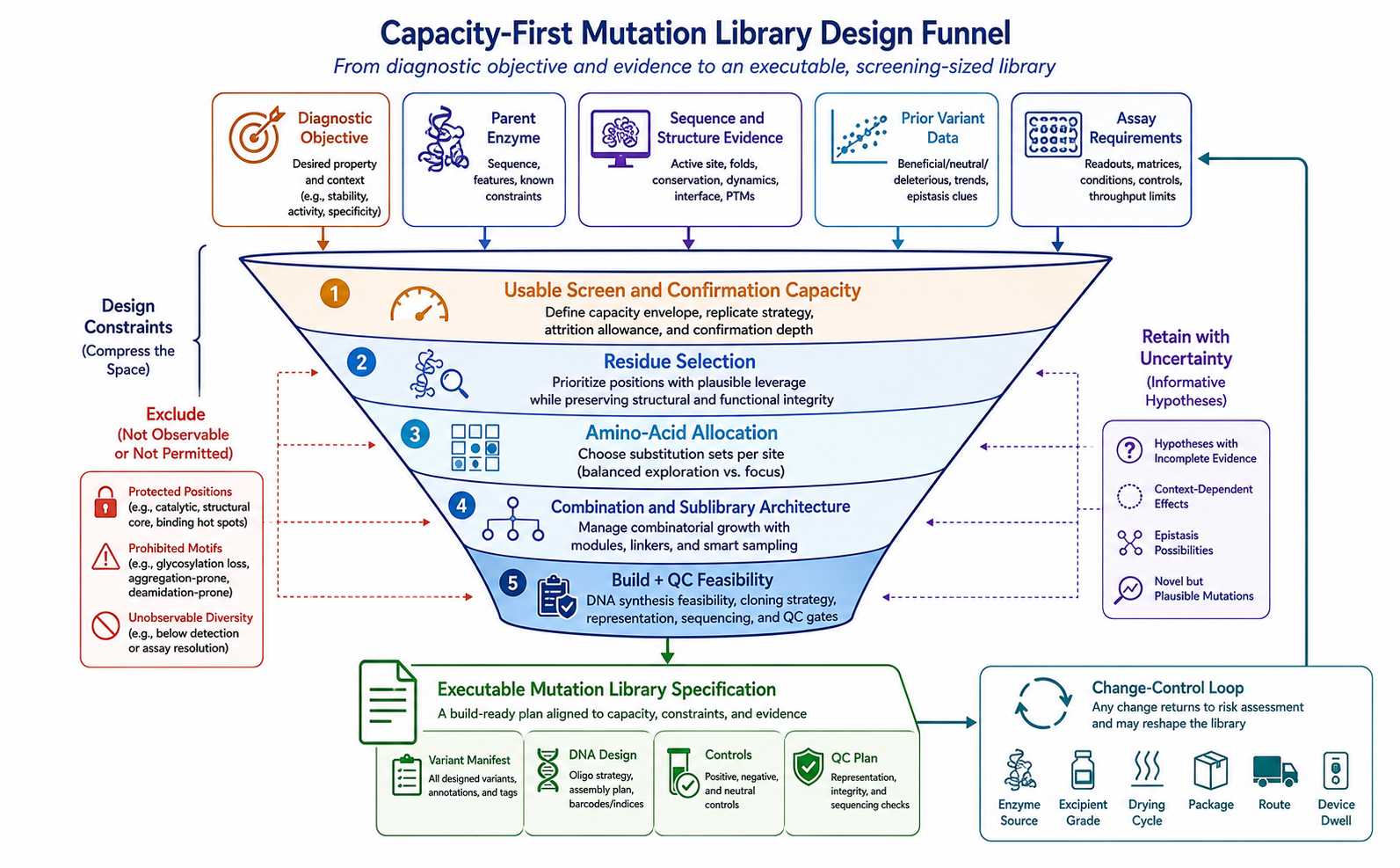 Capacity-first diagnostic enzyme mutation library design funnel from engineering objective and evidence to an executable screening-sized library