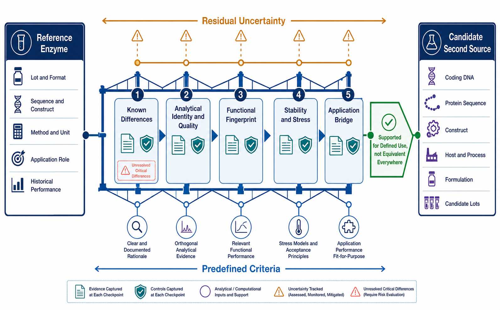 Second-source diagnostic enzyme engineering bridge connecting a reference material to a candidate through controlled-difference and comparability checkpoints