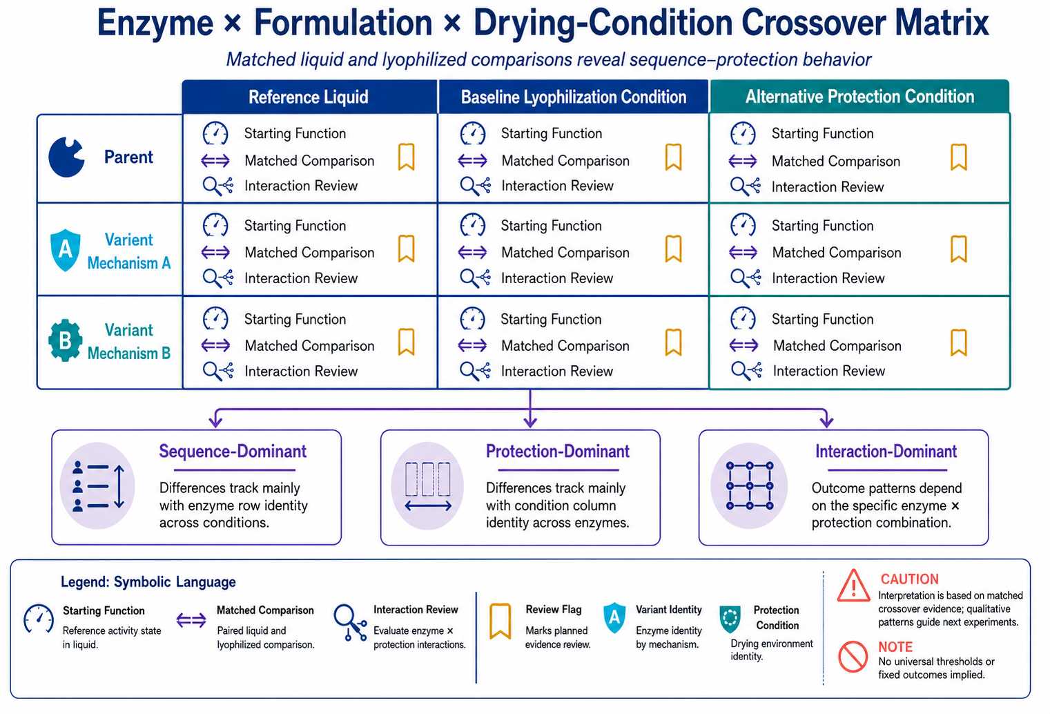 Crossover study comparing parent and engineered diagnostic enzymes across liquid reference baseline lyophilization and alternative protection conditions