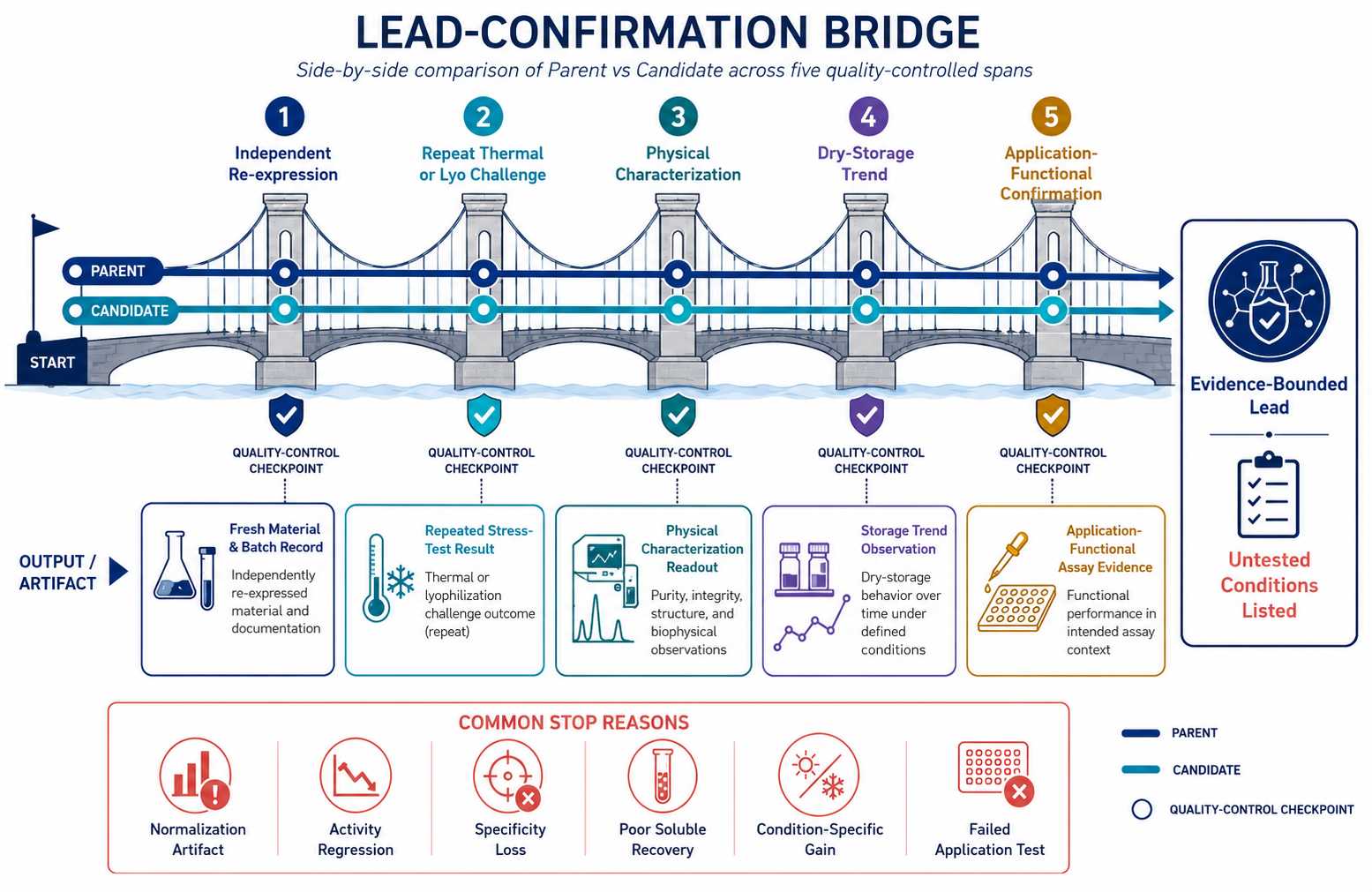 Lead confirmation bridge from independent diagnostic enzyme expression through thermal challenge lyophilization dry storage and application testing