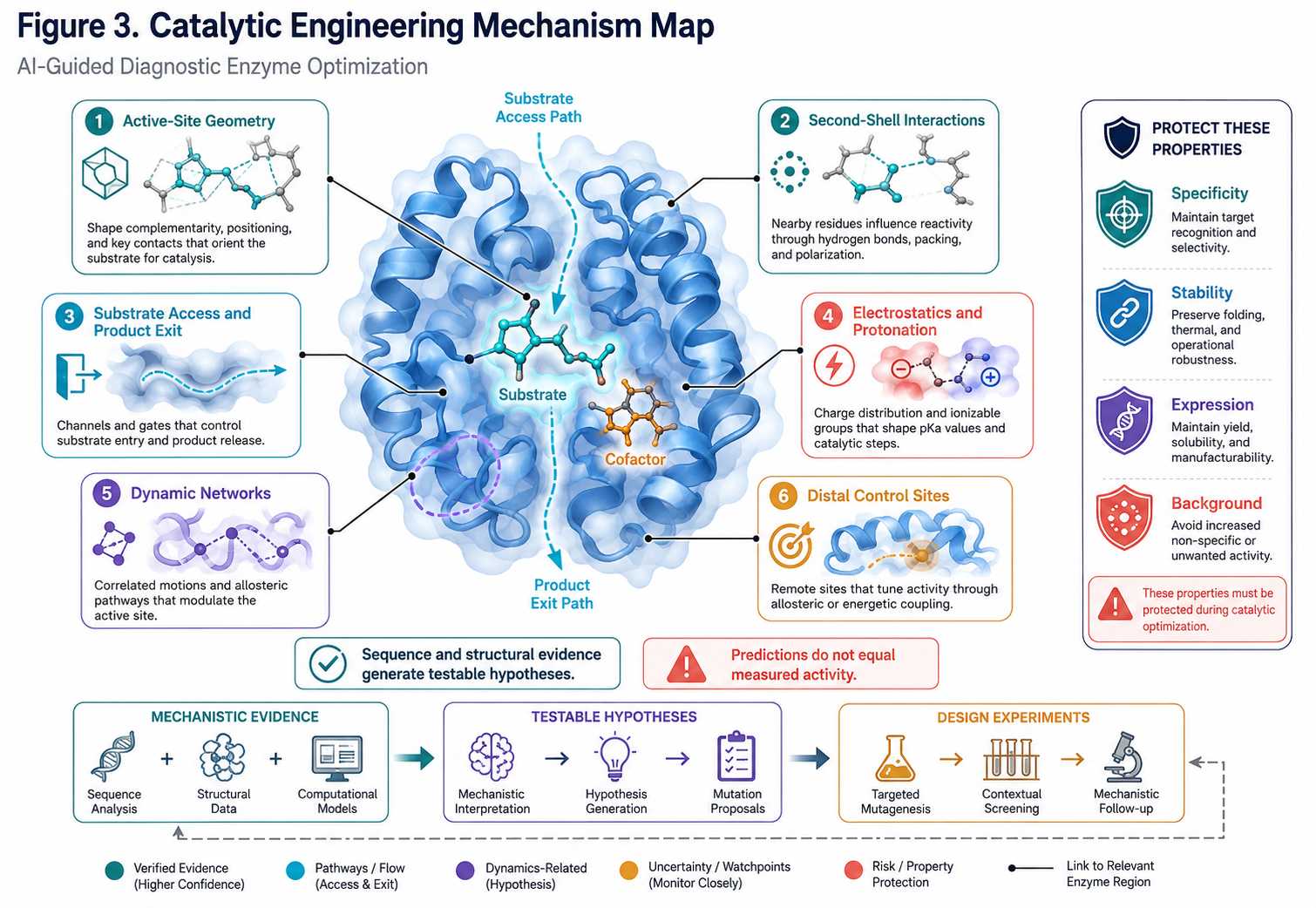 Catalytic engineering mechanism map for AI-guided diagnostic enzyme optimization