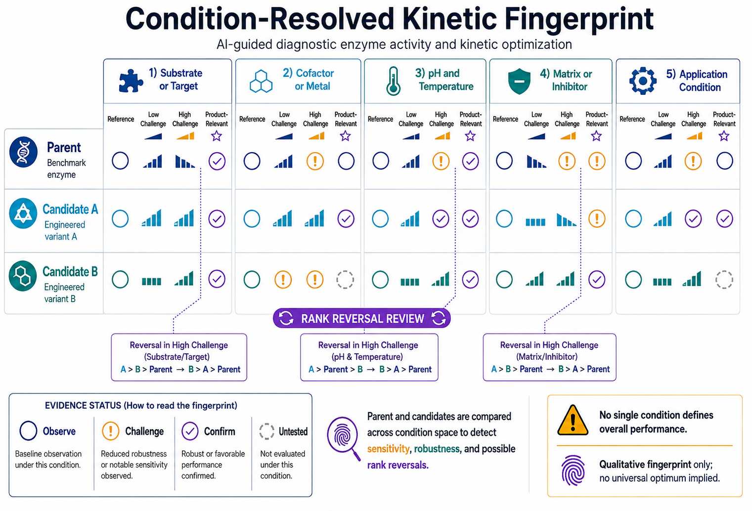 Condition-resolved kinetic fingerprint for parent and engineered diagnostic enzymes