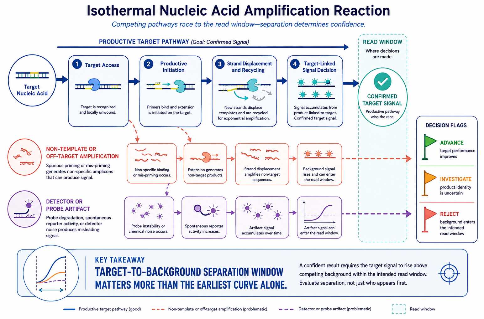 Reaction race for productive and background isothermal nucleic acid amplification