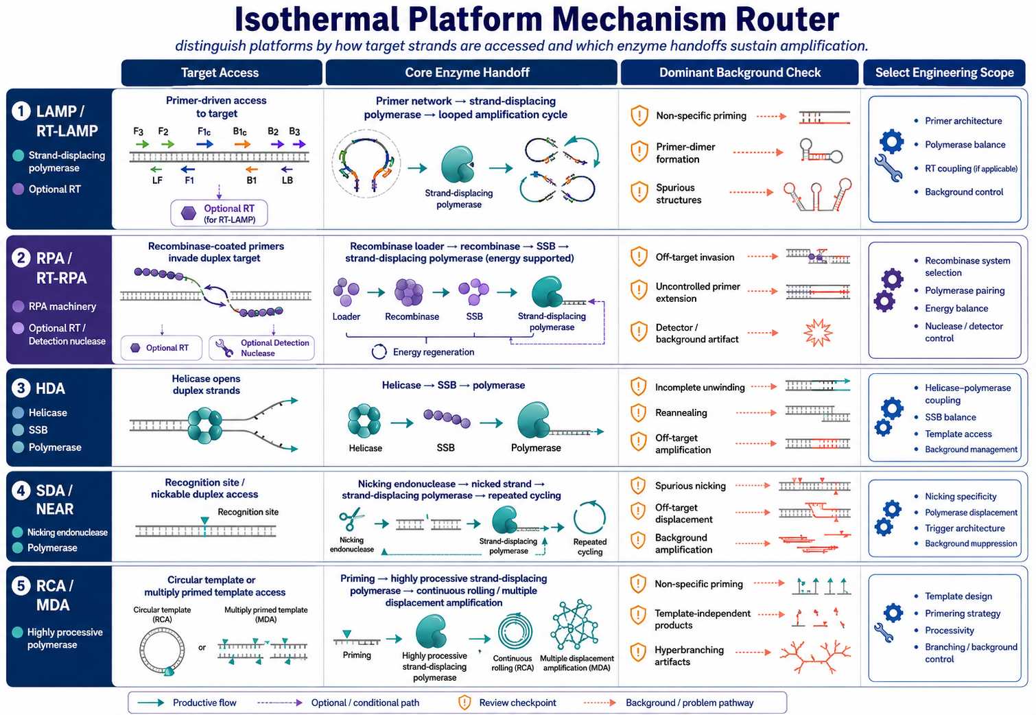 Mechanism routing map for LAMP RPA HDA SDA NEAR and rolling circle amplification enzyme systems