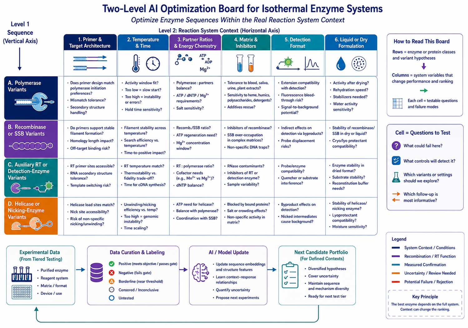 Two-level AI optimization board for isothermal enzyme sequences and reaction system variables