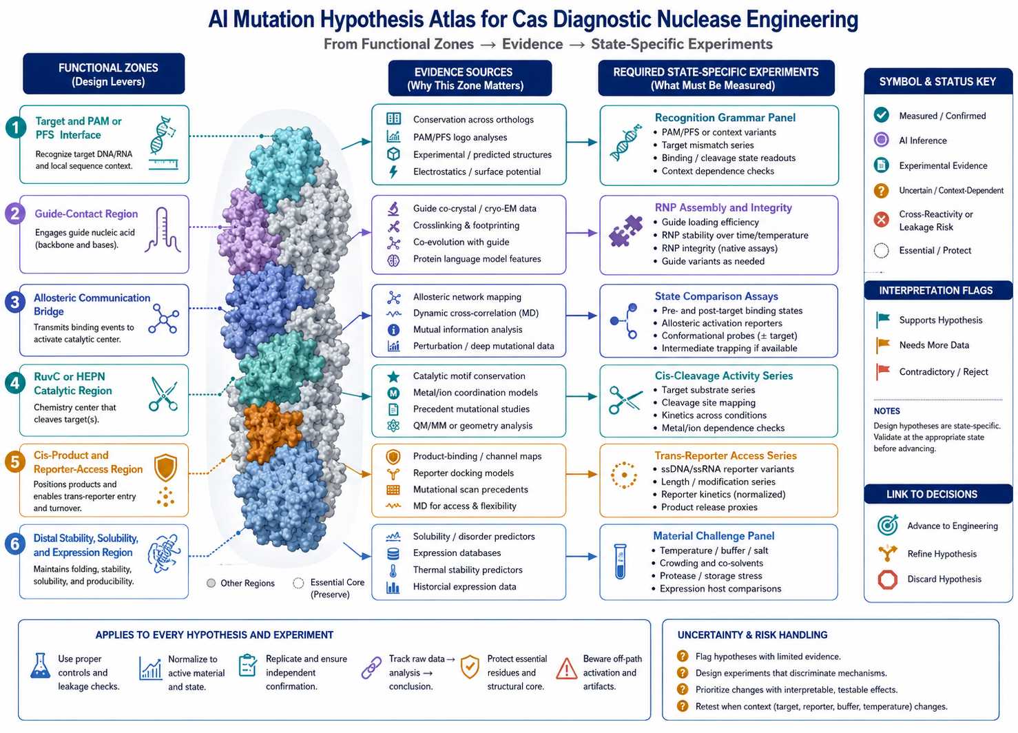 AI mutation hypothesis atlas for diagnostic Cas nuclease engineering