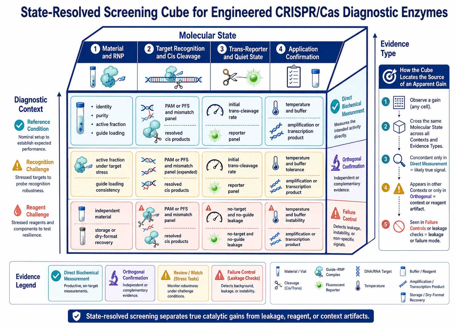 State-resolved screening cube for engineered CRISPR Cas diagnostic enzymes