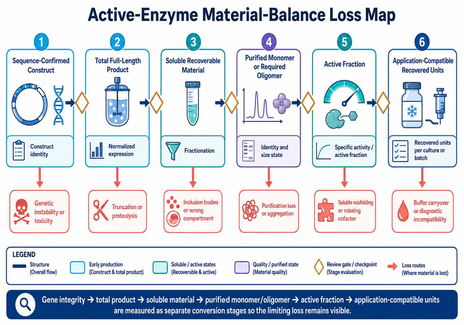 Active enzyme material balance for diagnostic enzyme expression and manufacturing