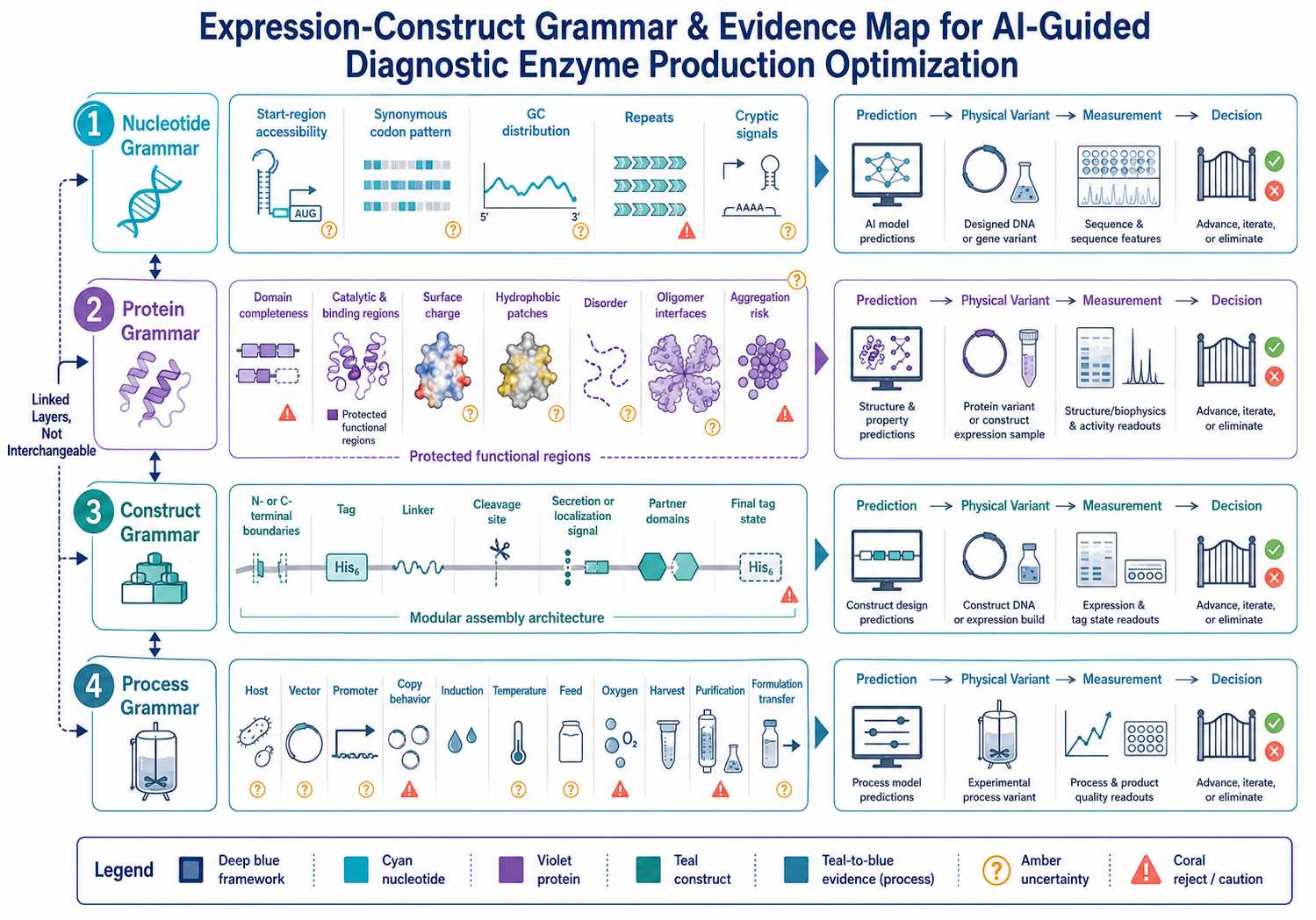 Expression construct grammar for AI-guided diagnostic enzyme production optimization