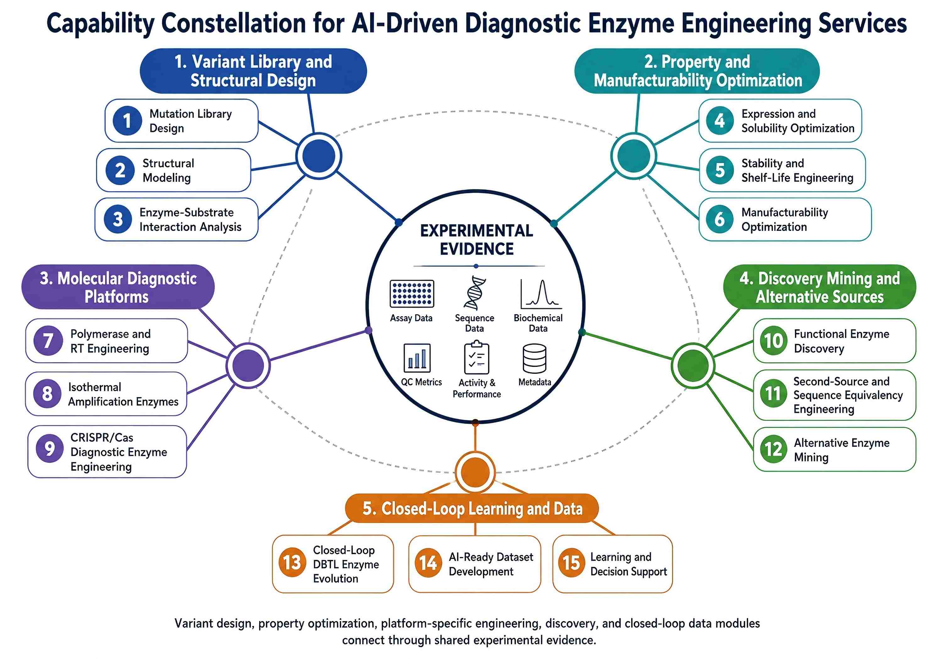 Fifteen AI-driven diagnostic enzyme engineering services grouped into five connected workstreams