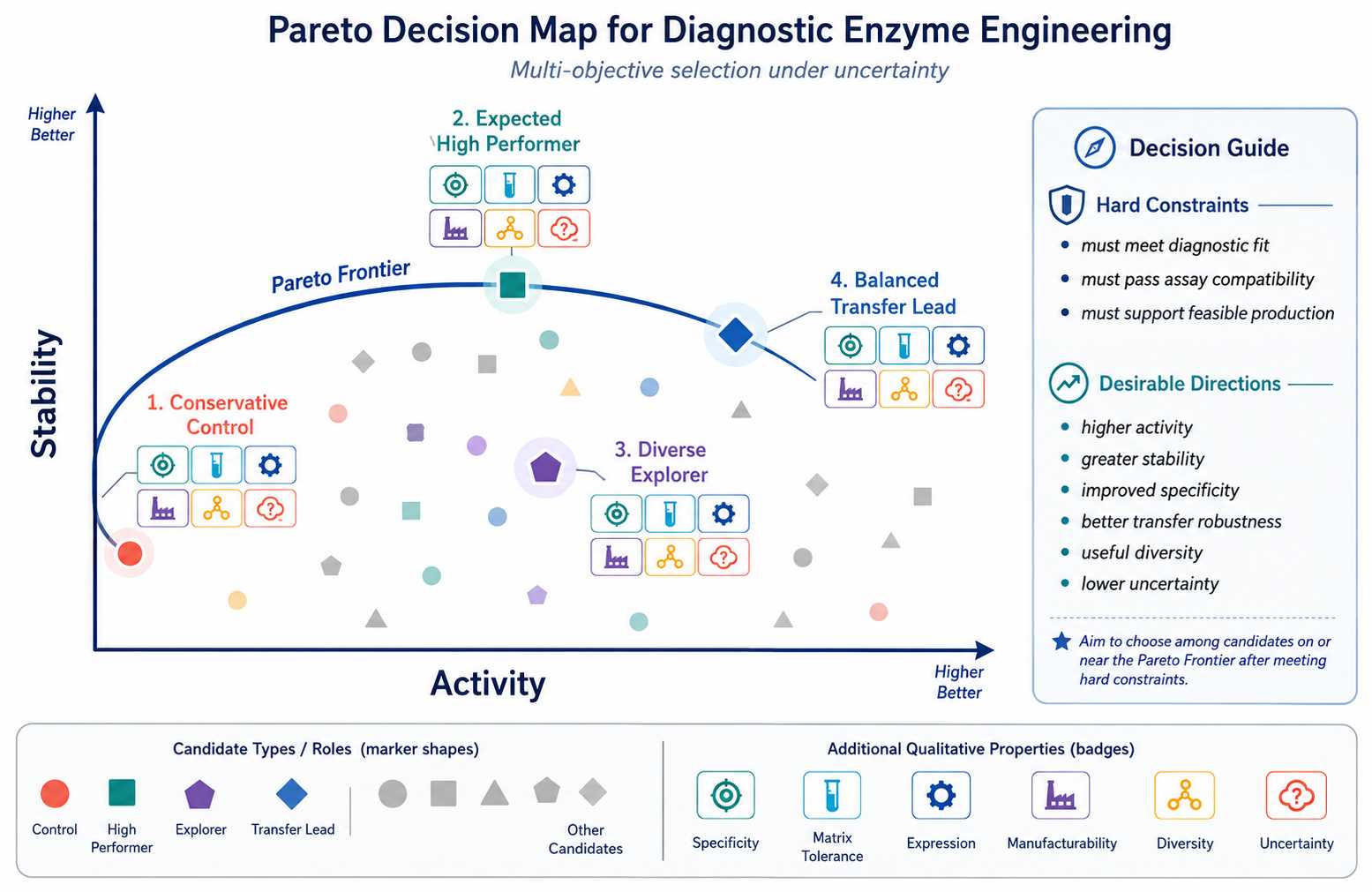 Pareto decision map for activity specificity stability inhibitor tolerance expression and manufacturability