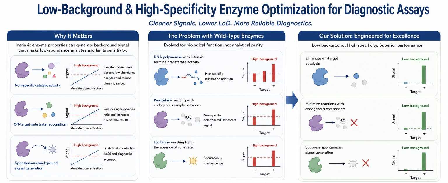Low-background and high-specificity enzyme optimization
