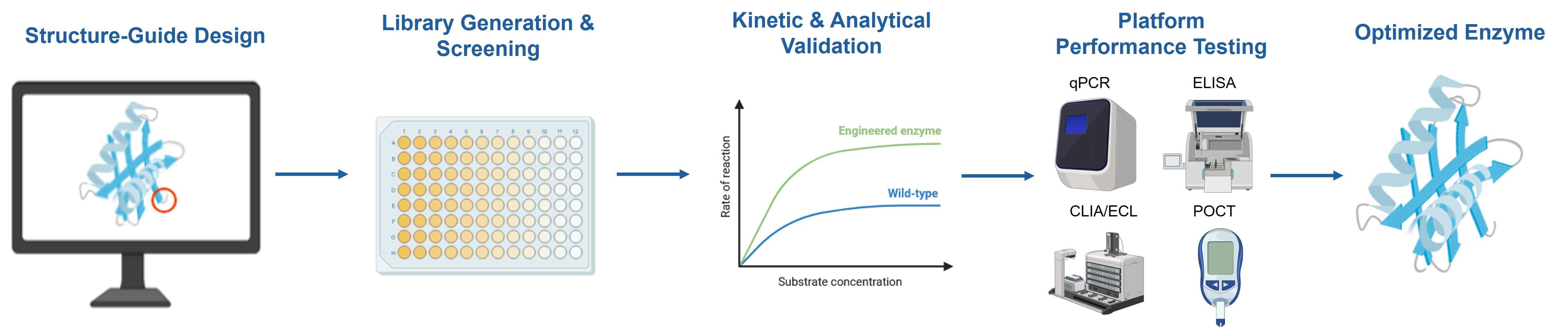 Low-background and high-specificity enzyme optimization workflow 