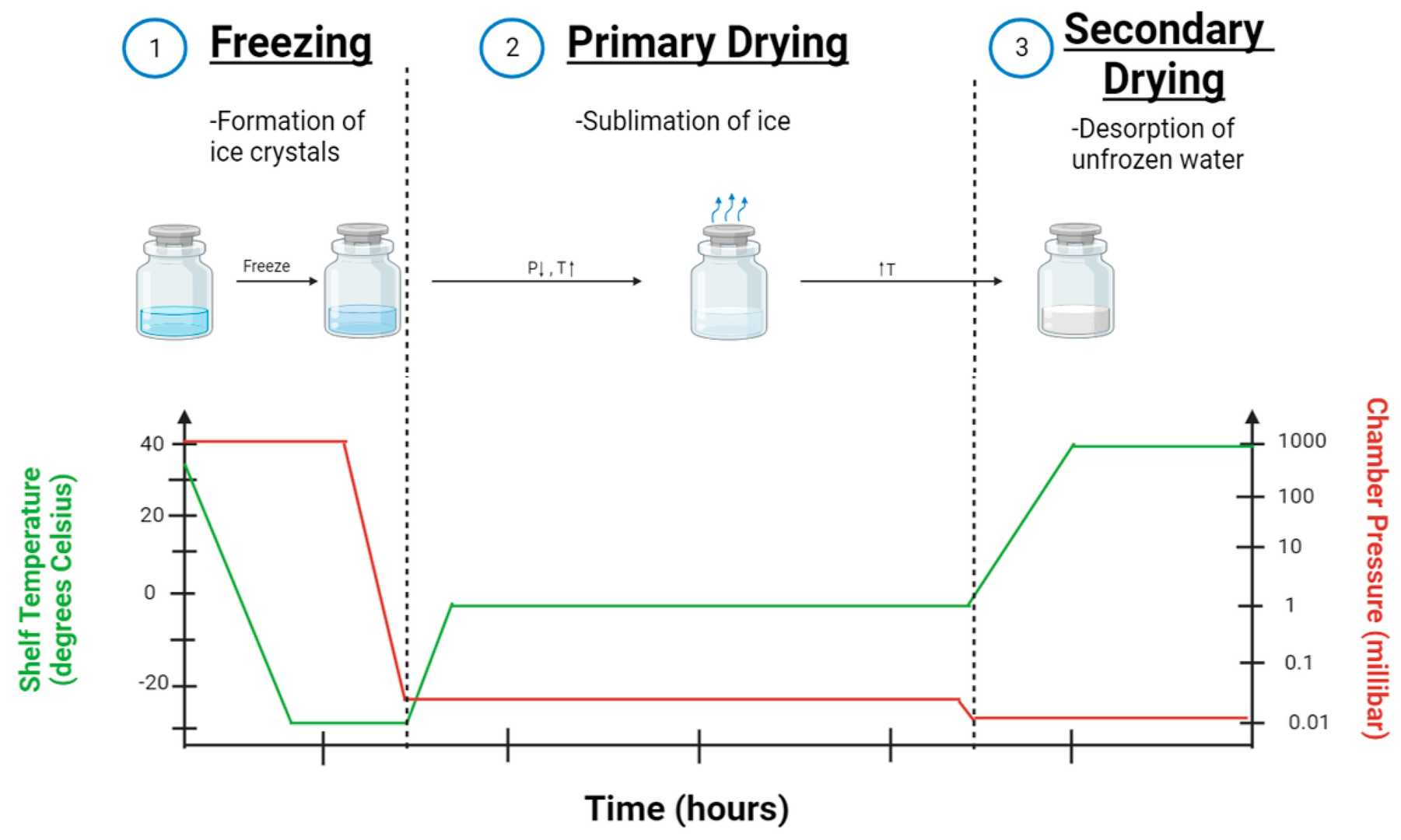 Glycerol-free and lyo-ready enzyme development