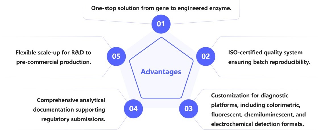 Why choose Creative Enzymes