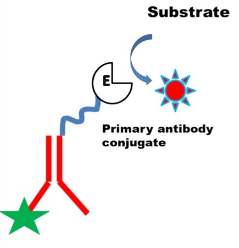 Enzyme-substrate signal system optimization service
