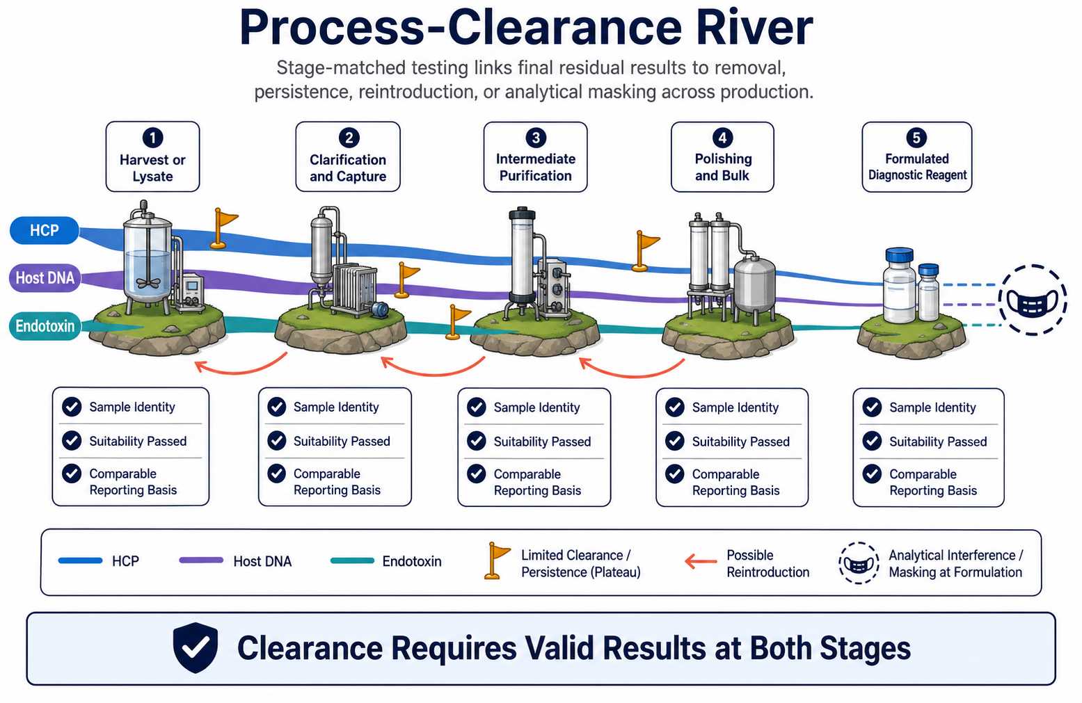 Process clearance river mapping host cell protein residual DNA and endotoxin testing from harvest and capture through polishing formulation and final diagnostic enzyme reagent