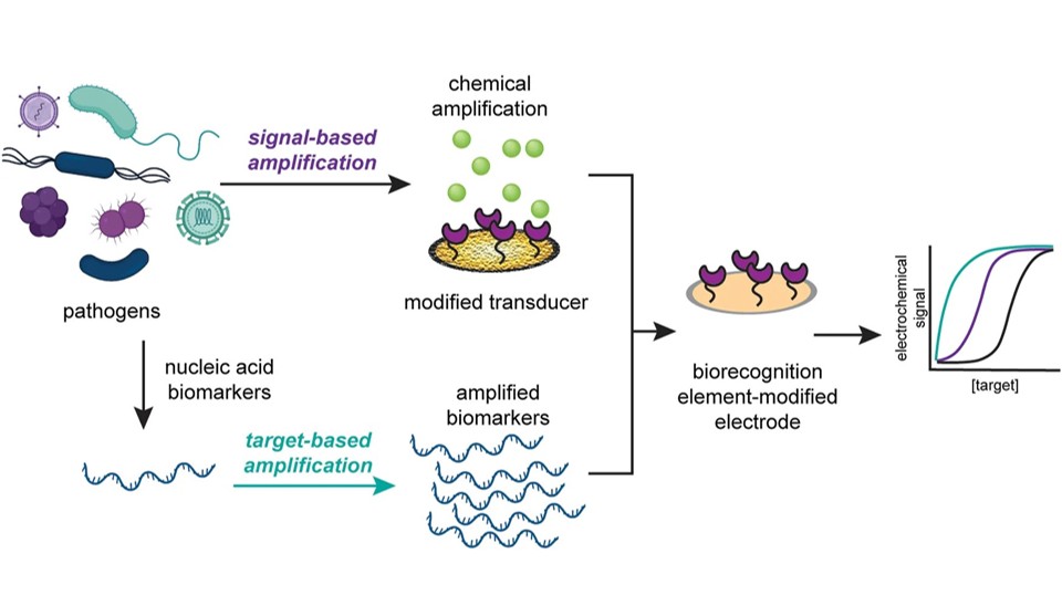 Recent advances in signal amplification to improve electrochemical biosensing for infectious diseases