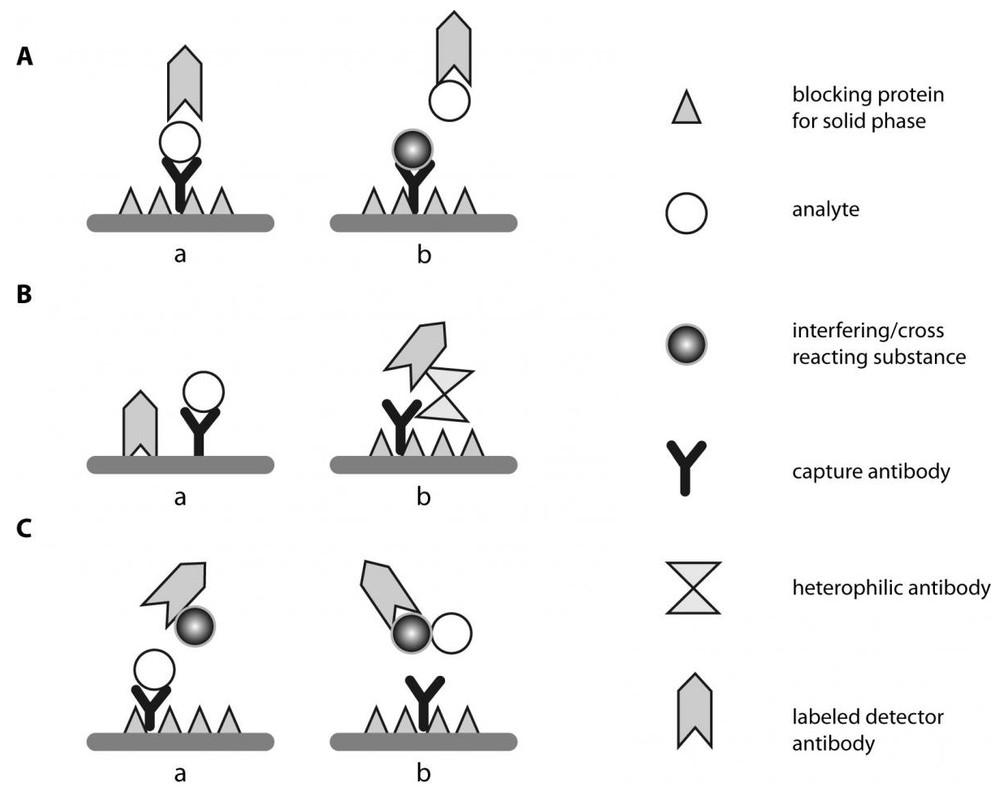 Interference resistance optimization for enzyme-based diagnostic assays