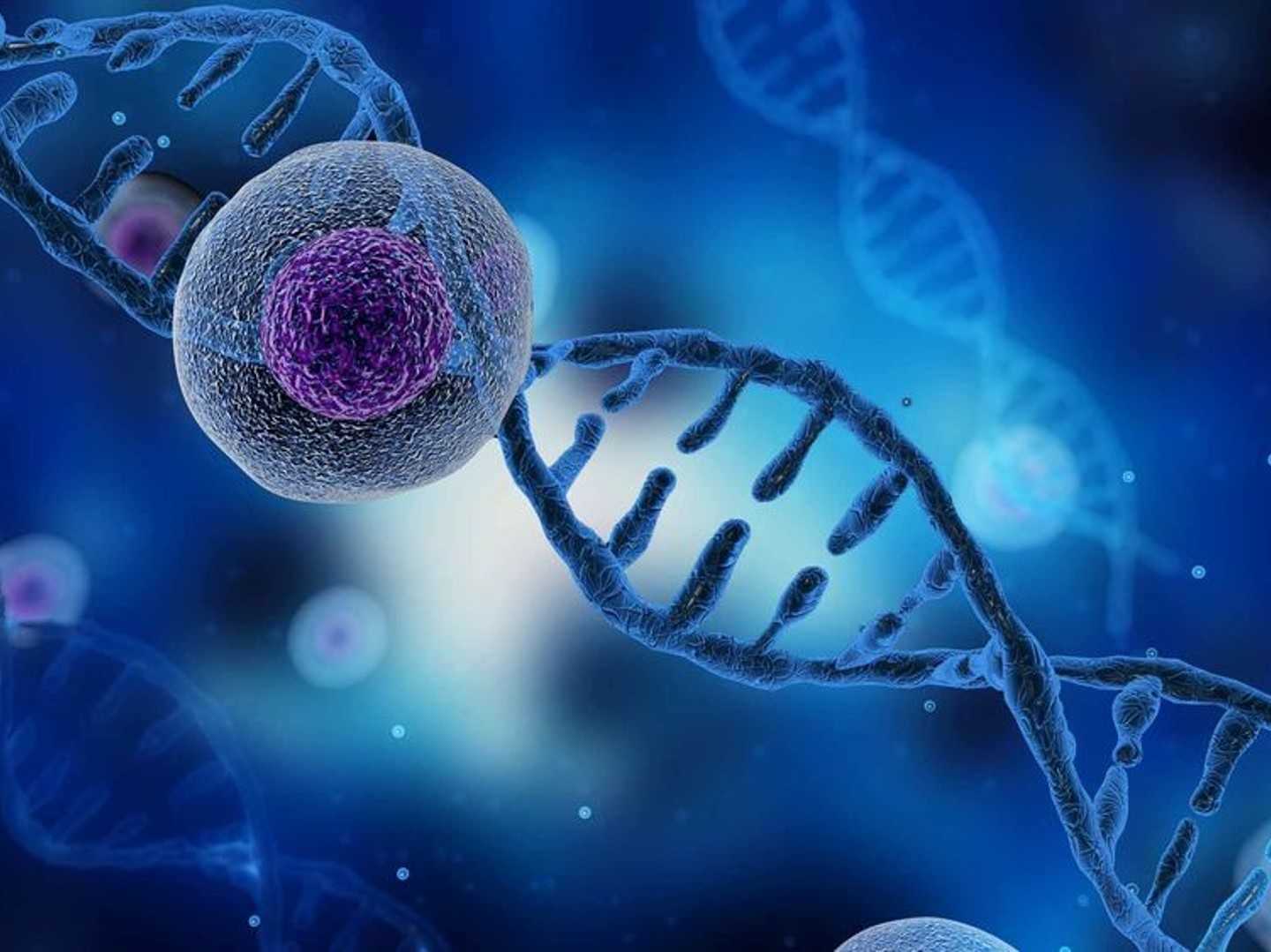 Oncology and Genetic Testing Enzymes