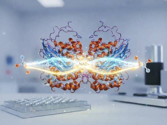 Oxidoreductases