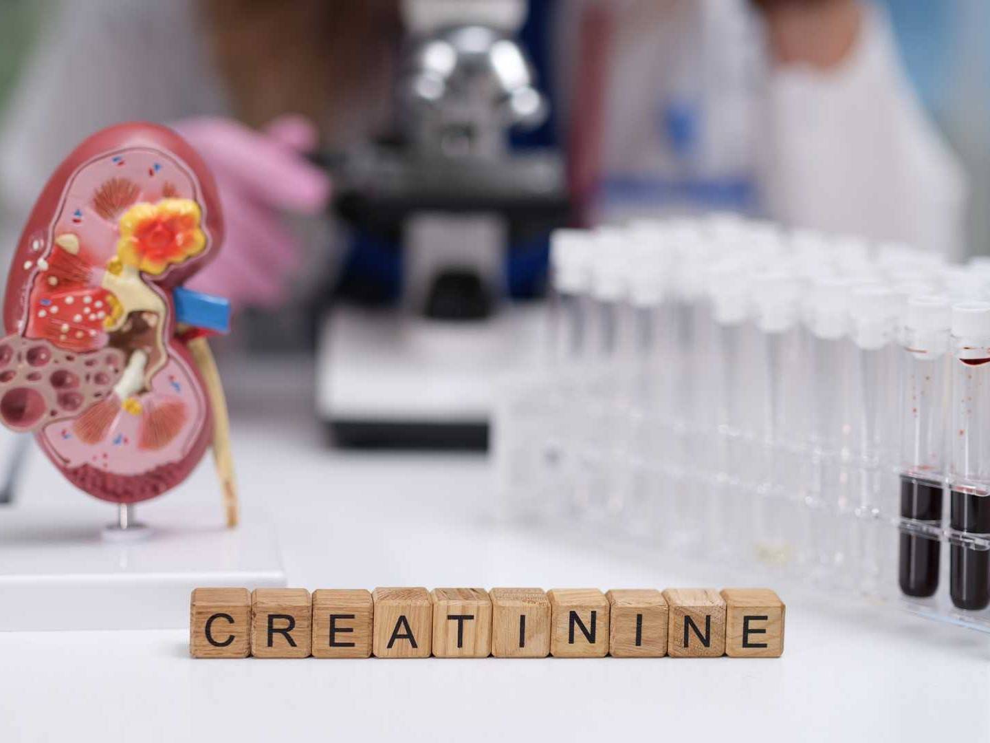 Renal Function Diagnostic Enzymes