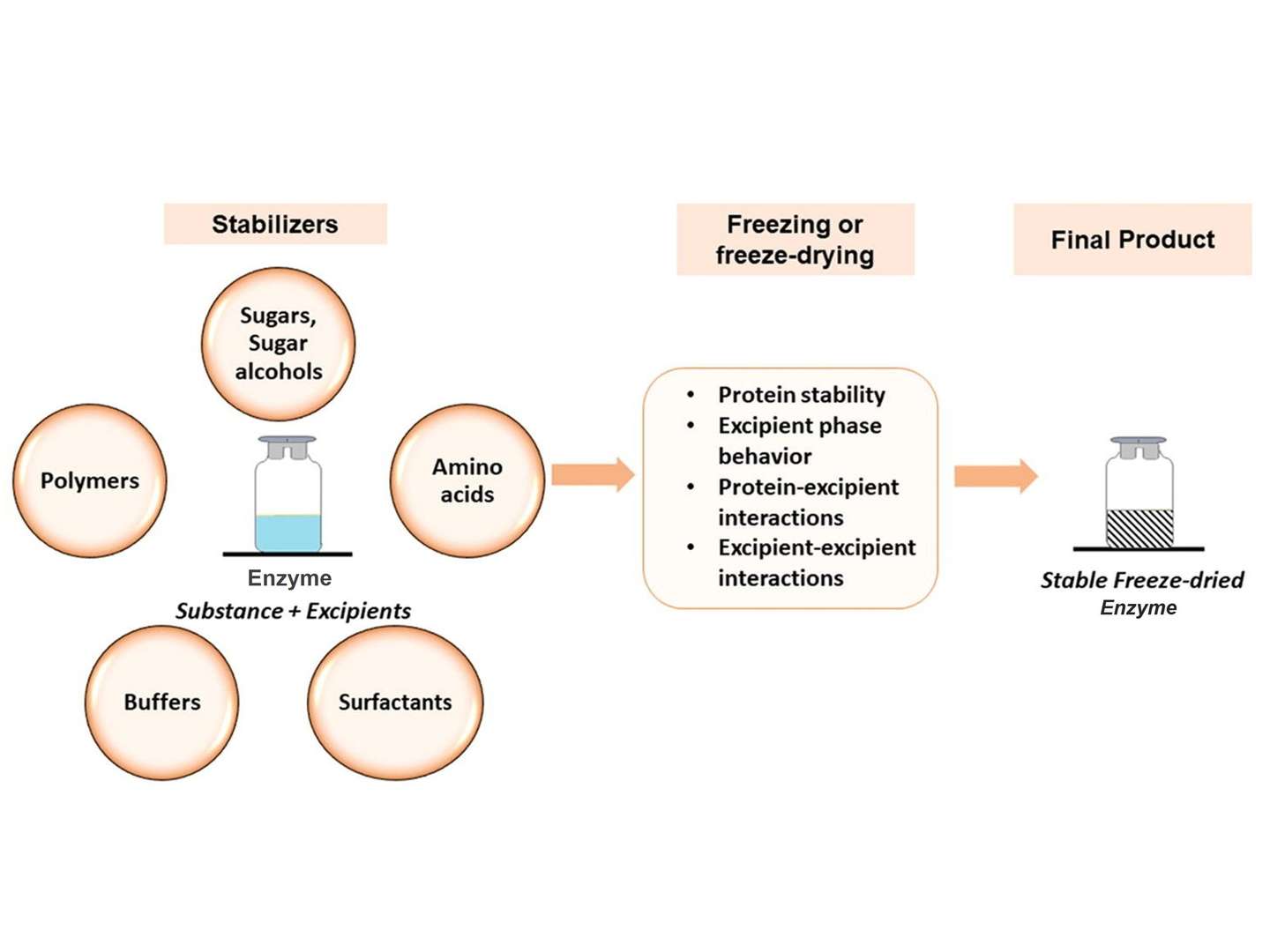 Enzyme Stabilizers, Preservatives and Lyophilized Reagent Components