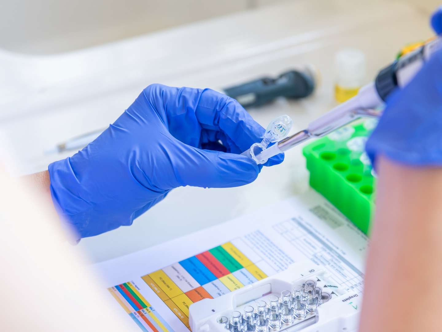 DNA/RNA Ligases and Repair Enzymes