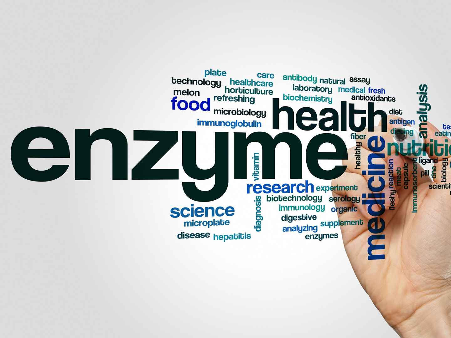 Diagnostic enzyme QC, QA and analytical characterization