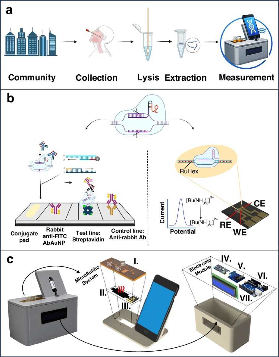 Smartphone-enabled field molecular diagnostic system