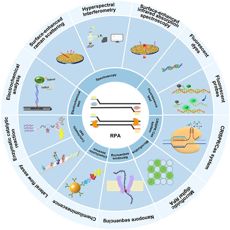 RPA reagent modules for molecular point-of-care testing