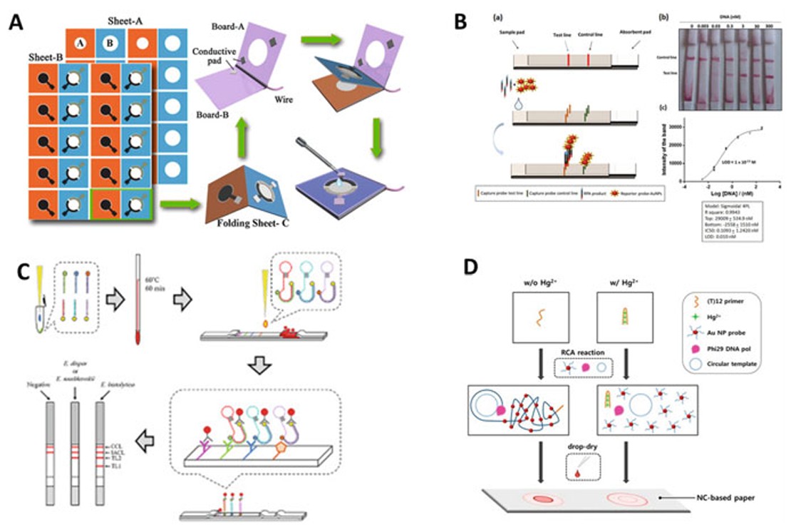Paper-based molecular diagnostics