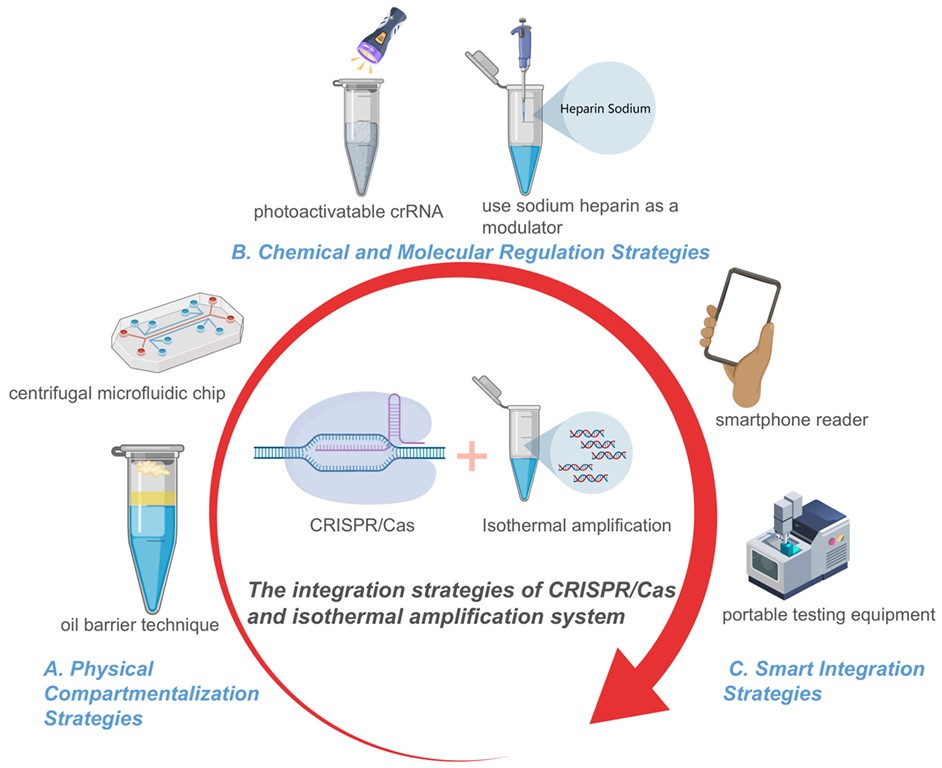 Isothermal amplification and CRISPR diagnostics technology landscape