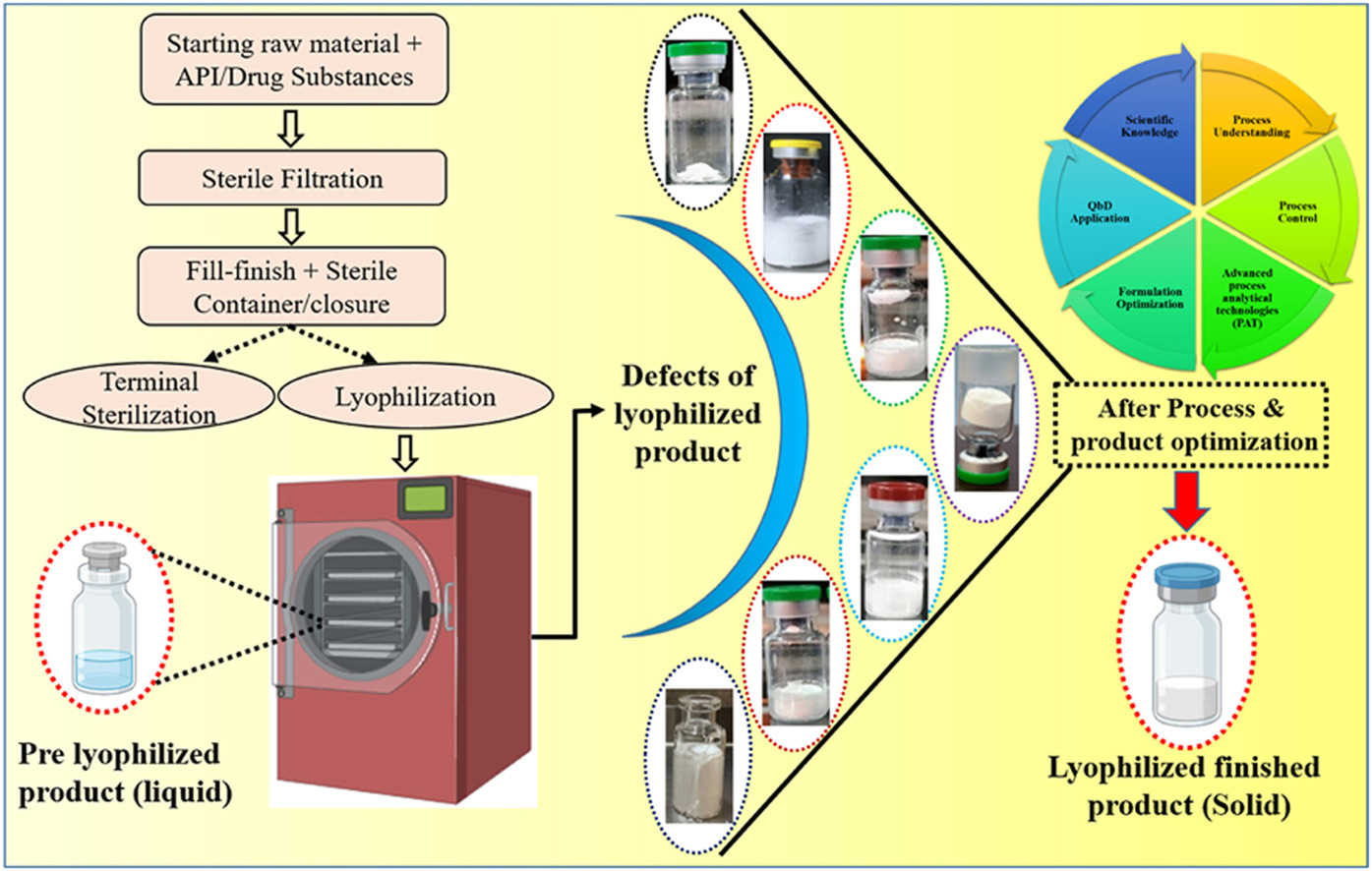 Lyophilized Enzyme Formulation Guide development framework