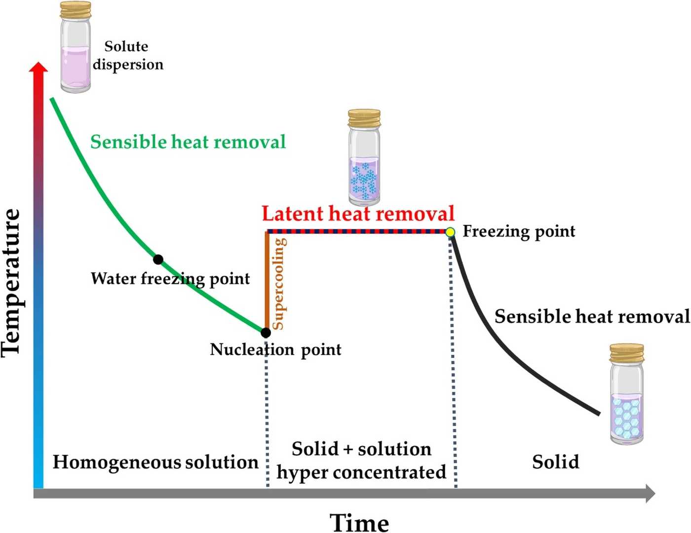 Freeze-Thaw Stability of Diagnostic Enzymes development framework