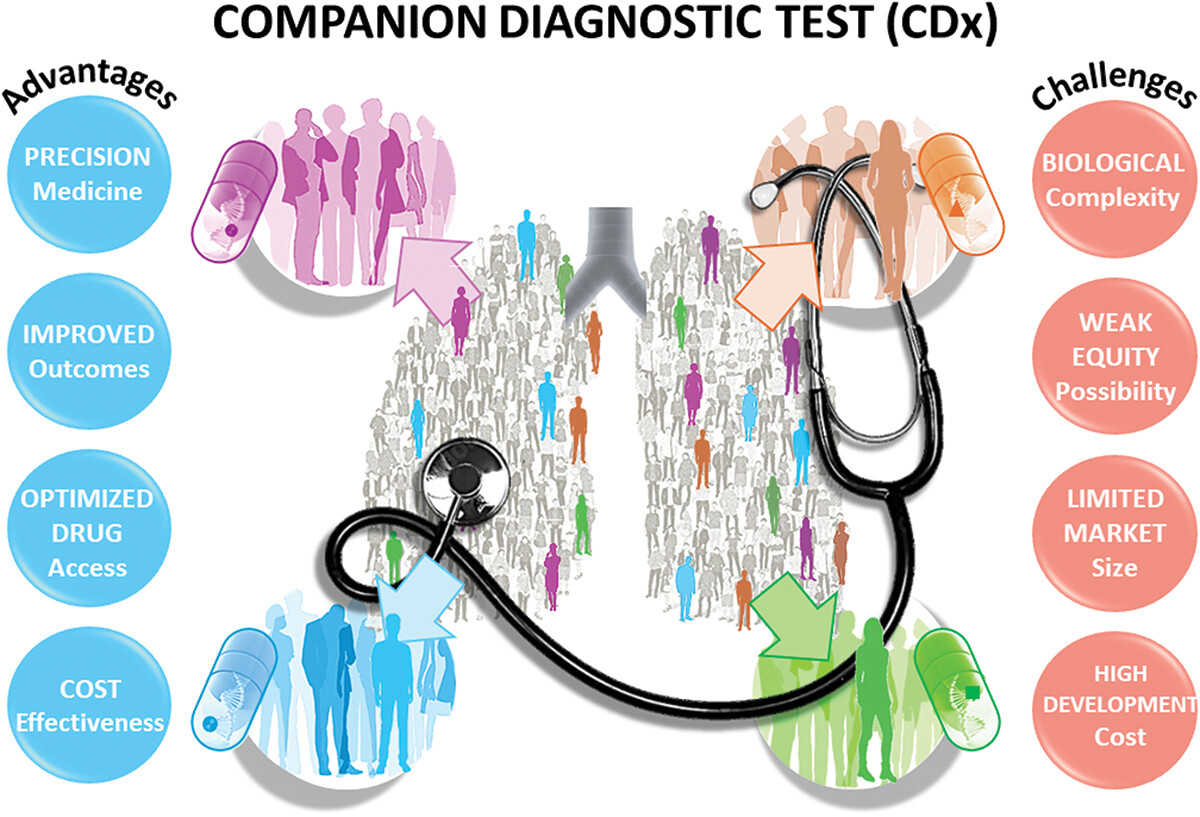 What makes a &laquo; good &raquo; companion diagnostic in thoracic oncology