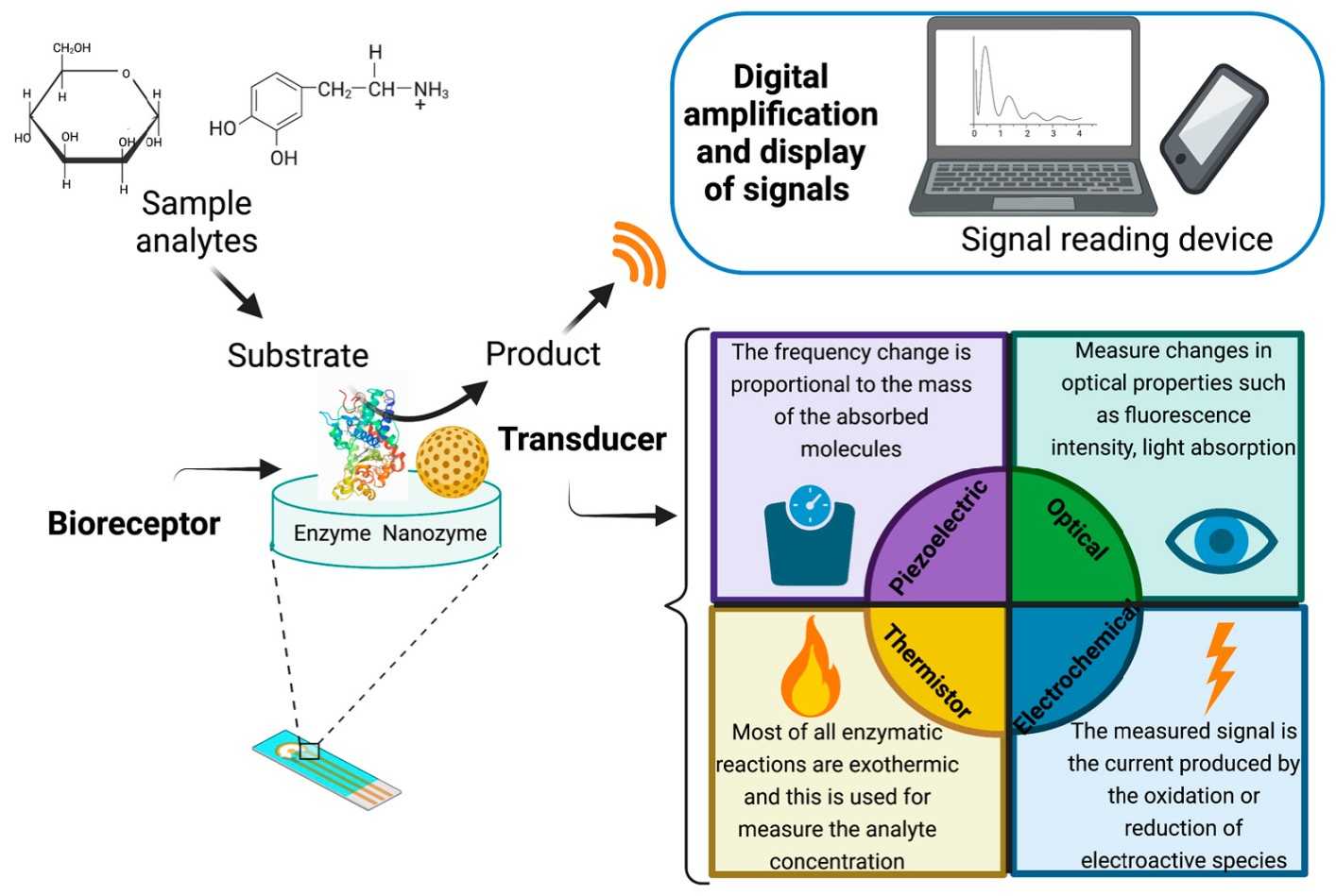 Validation framework for enzyme-based companion diagnostic biosensors