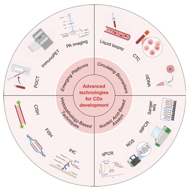 Major technology families represented in the FDA companion diagnostic landscape
