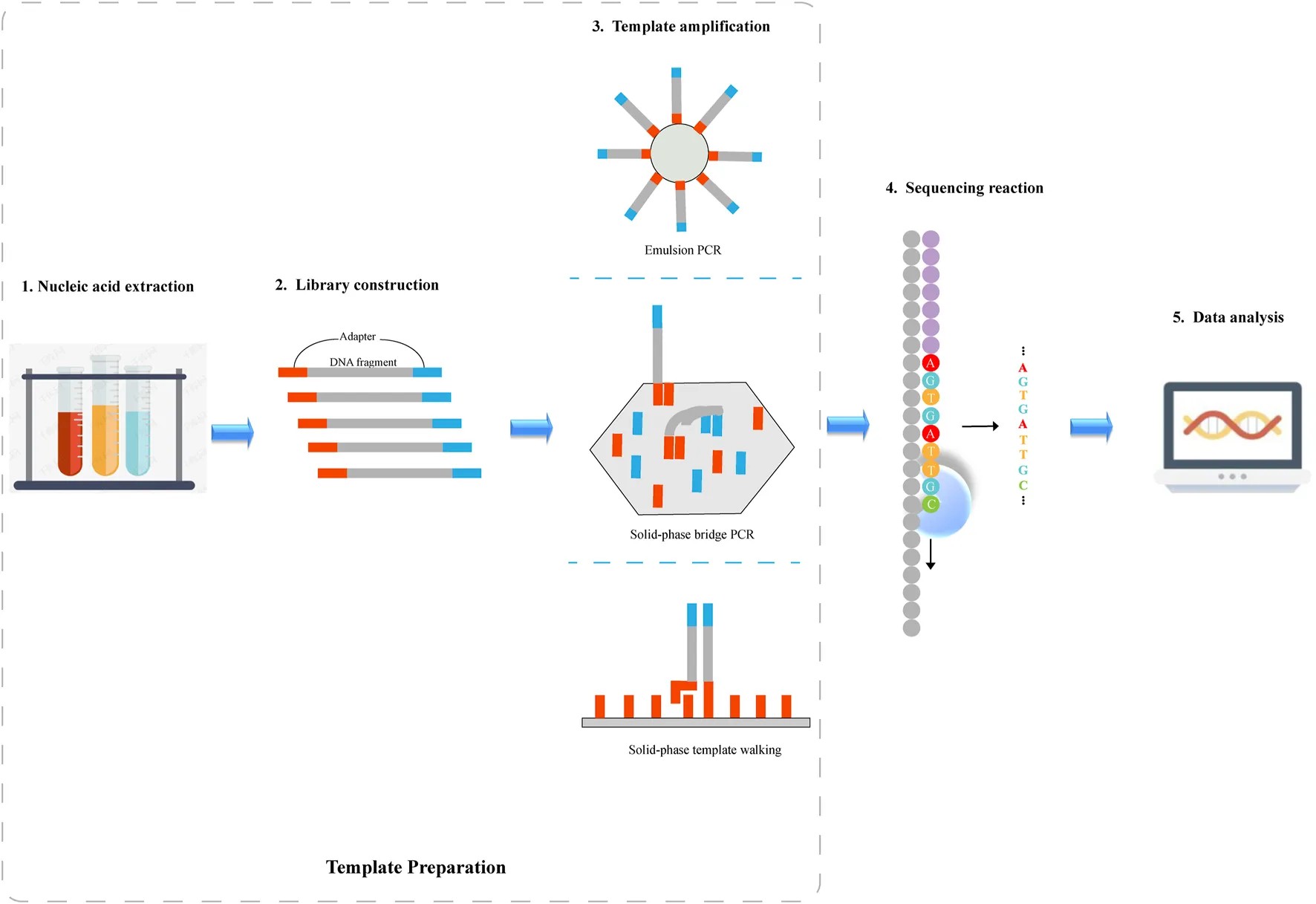 Schematic diagram of next-generation sequencing