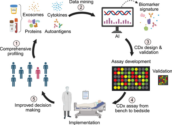 Biomarker-to-treatment decision pathway showing how companion diagnostics enable precision medicine